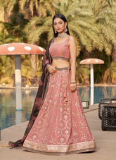 Alluring Looking Lehenga Choli in Pink Brown